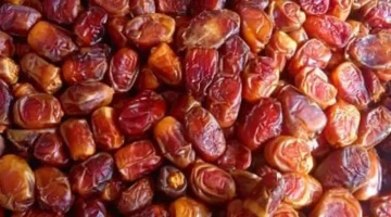 أسعار البلح اليوم في مطروح السيوي يستقر عند 60 جنيهاً في الأسواق 1